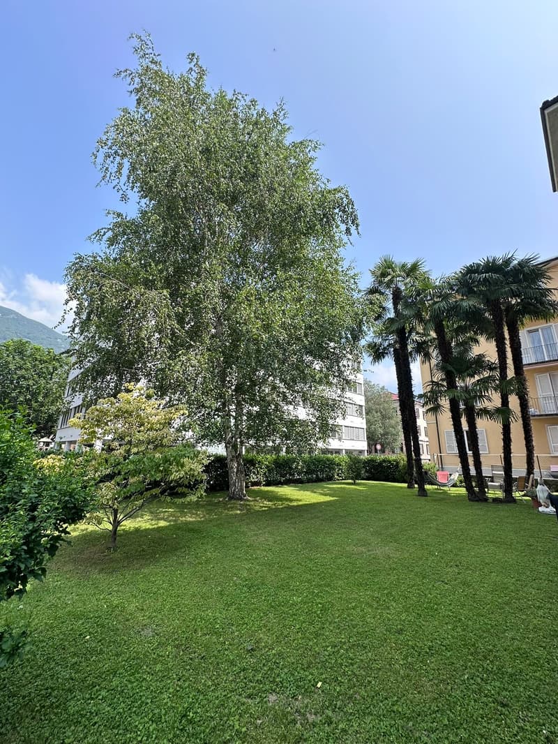 Affittasi 5.5 locali completamente ristrutturato in casa d’epoca – posizione privilegiata (4)