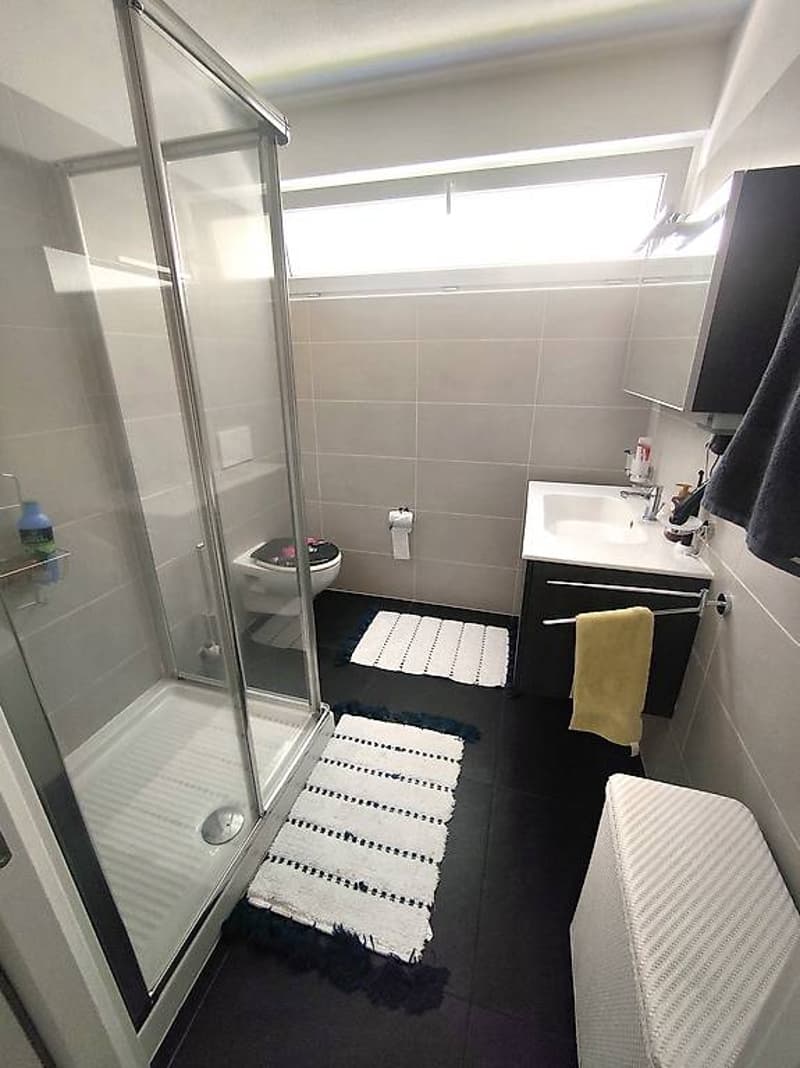 Appartamento 4 ½ locali, 2, ultimo piano/zona residenziale (8)