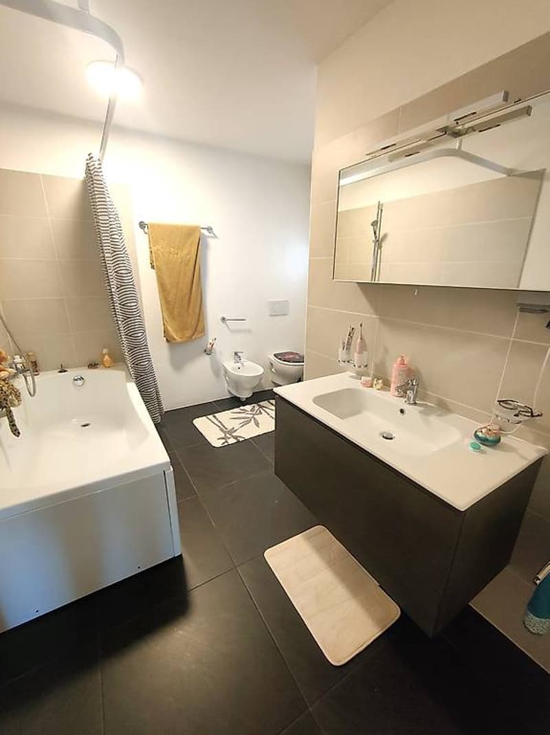 Appartamento 4 ½ locali, 2, ultimo piano/zona residenziale (7)