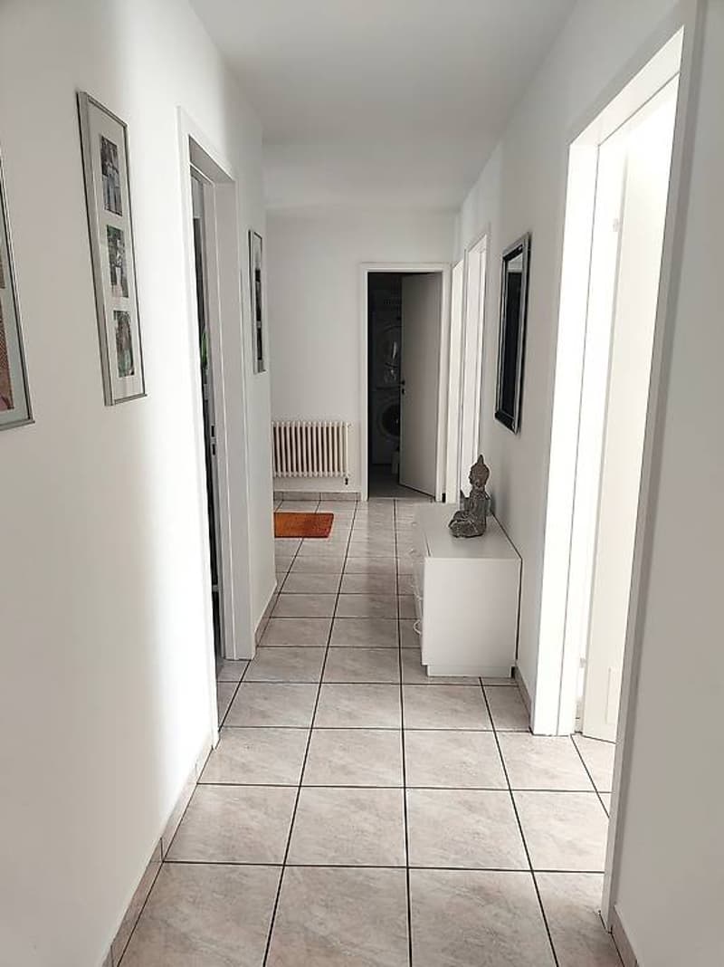 4.5 locali - ultimo piano - Giubiasco (9)