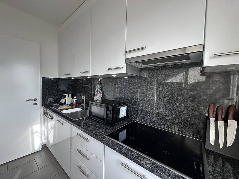 2 ½ locali ammobiliato con vista lago a Muralto (6)