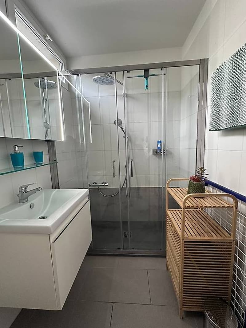 2 ½ locali ammobiliato con vista lago a Muralto (11)