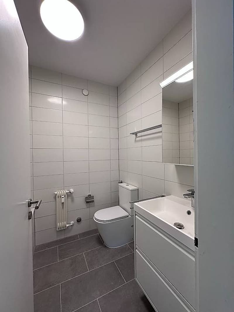 4.5 locali rimodernato a Tenero (13)
