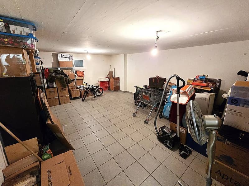 Magnifico attico 5.5 locali a Castione (9)