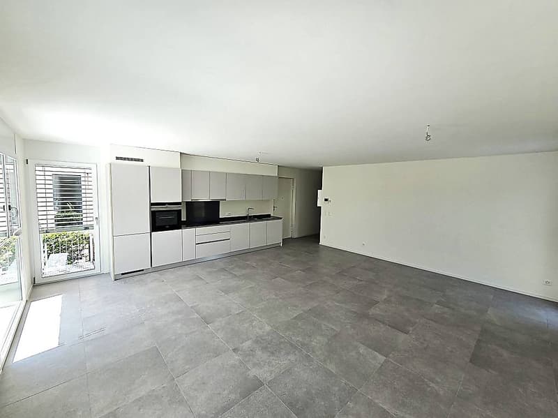 Splendido 4.5 locali con giardino a Claro (5)