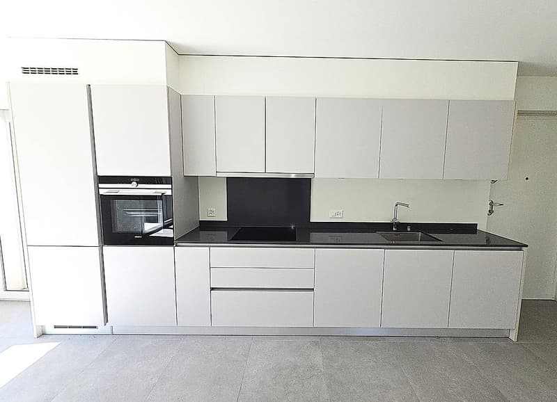 Splendido 4.5 locali con giardino a Claro (8)