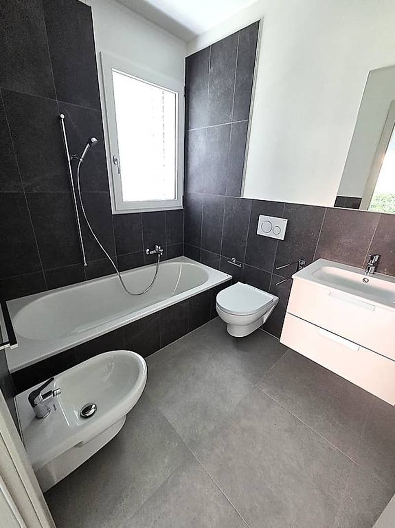 Splendido 4.5 locali con giardino a Claro (11)