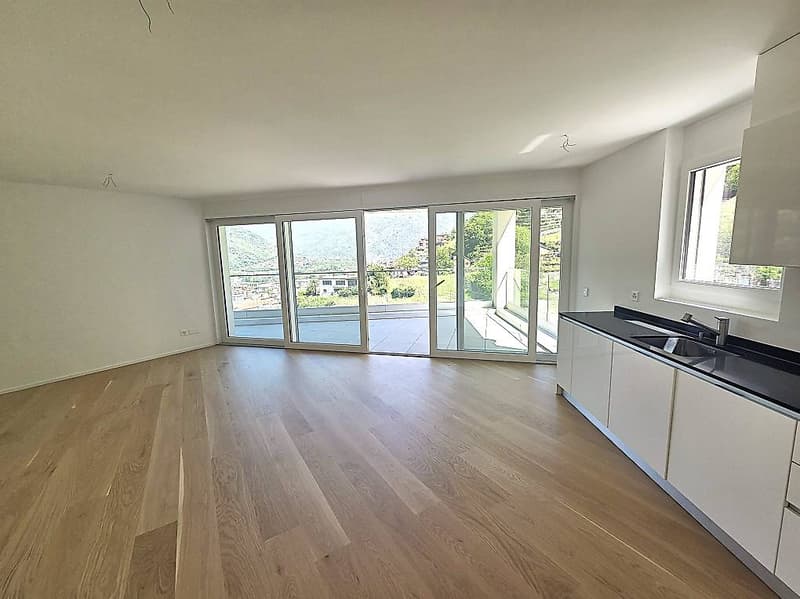 Appartamento 4.5 con splendida vista a Bellinzona-Daro (4)