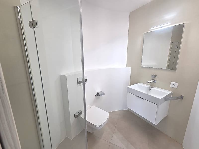 Appartamento 4.5 con splendida vista a Bellinzona-Daro (11)