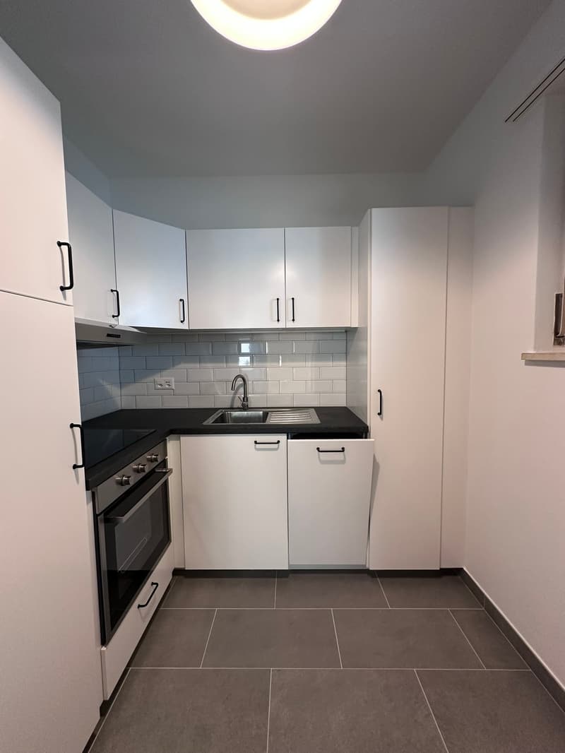 4.5 locali rimodernato a Tenero (8)