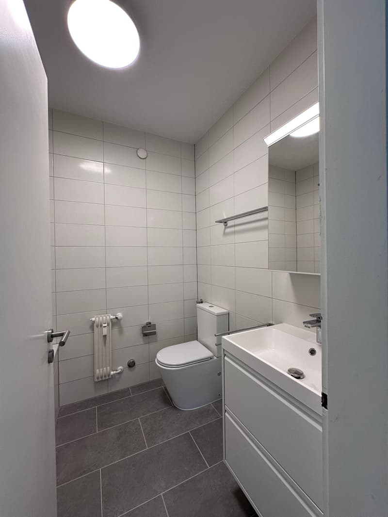 4.5 locali rimodernato a Tenero (15)