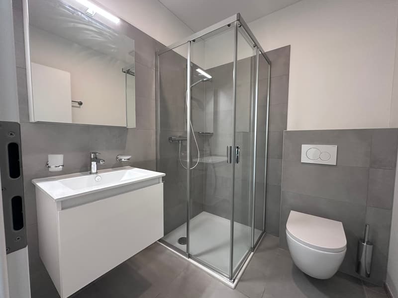 Moderno appartamento 1.5 locali a Carasso (18)