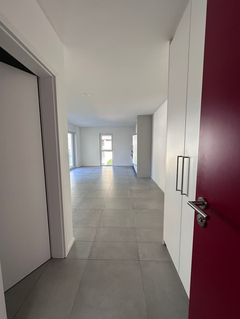 Moderno appartamento 1.5 locali a Carasso (8)