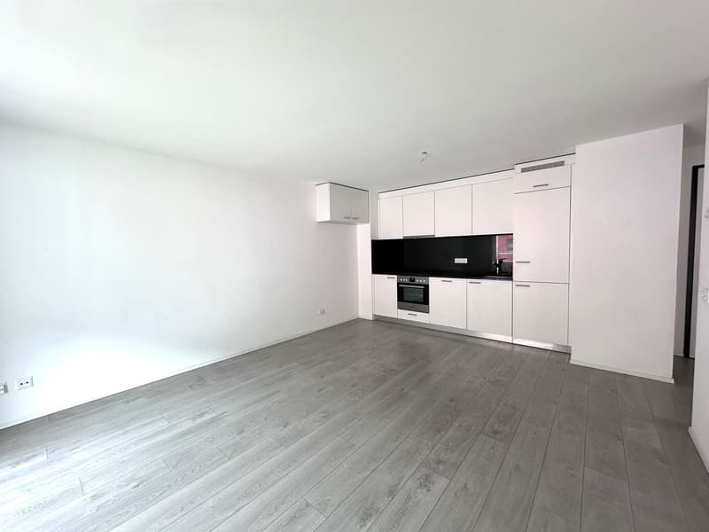 Moderno appartamento 2.5 locali con balcone a Cadenazzo (6)