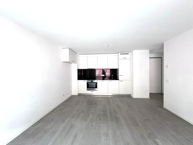 Moderno appartamento 2.5 locali con balcone a Cadenazzo (4)