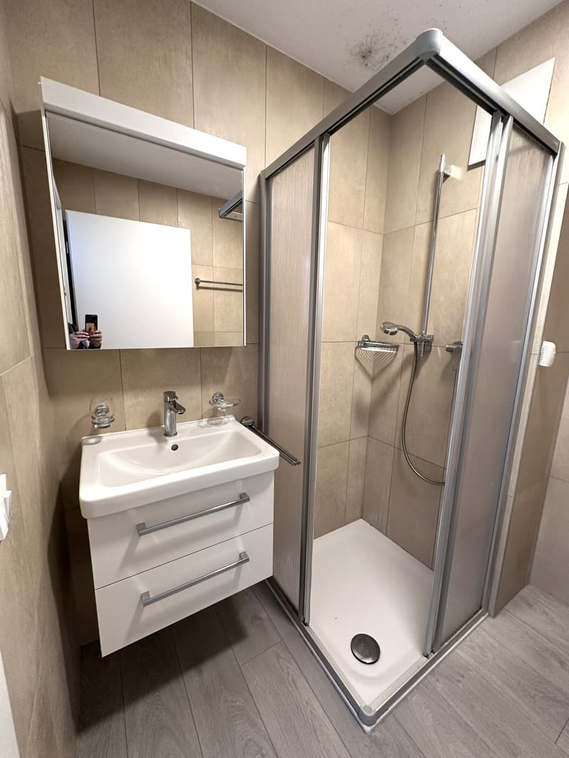 Moderno appartamento 2.5 locali con balcone a Cadenazzo (14)