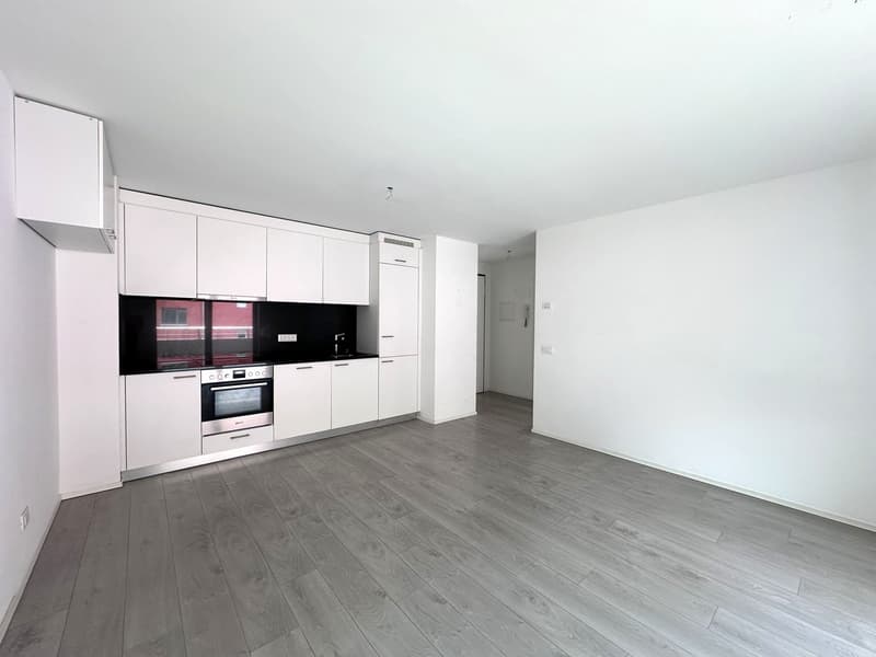 Moderno appartamento 2.5 locali con balcone a Cadenazzo (5)
