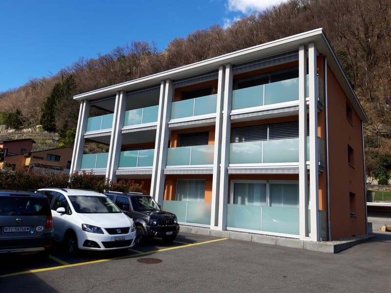 Luminoso appartamento di 4 locali a Sementina (1)