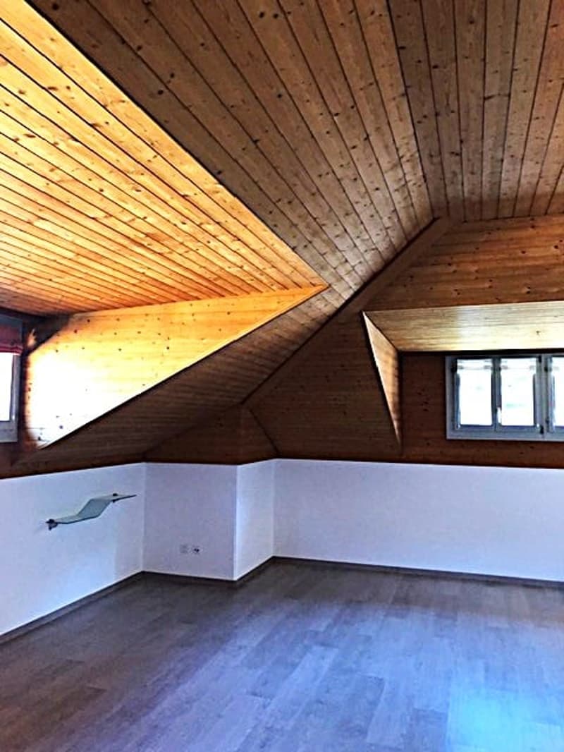 Accogliente appartamento monolocale mansardato a Bellinzona (6)