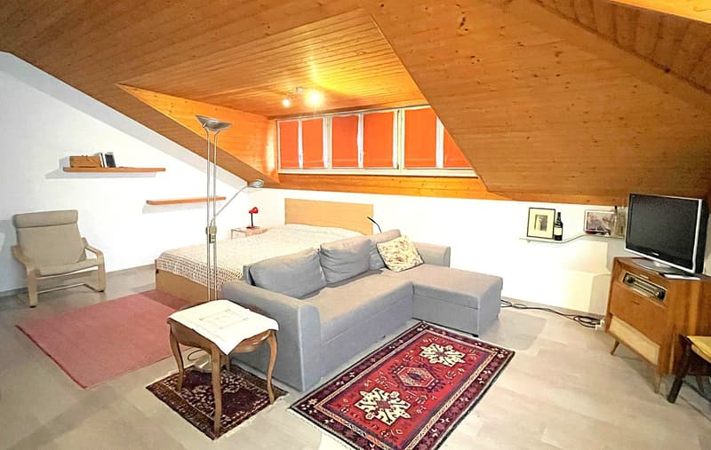 Accogliente appartamento monolocale mansardato a Bellinzona (7)