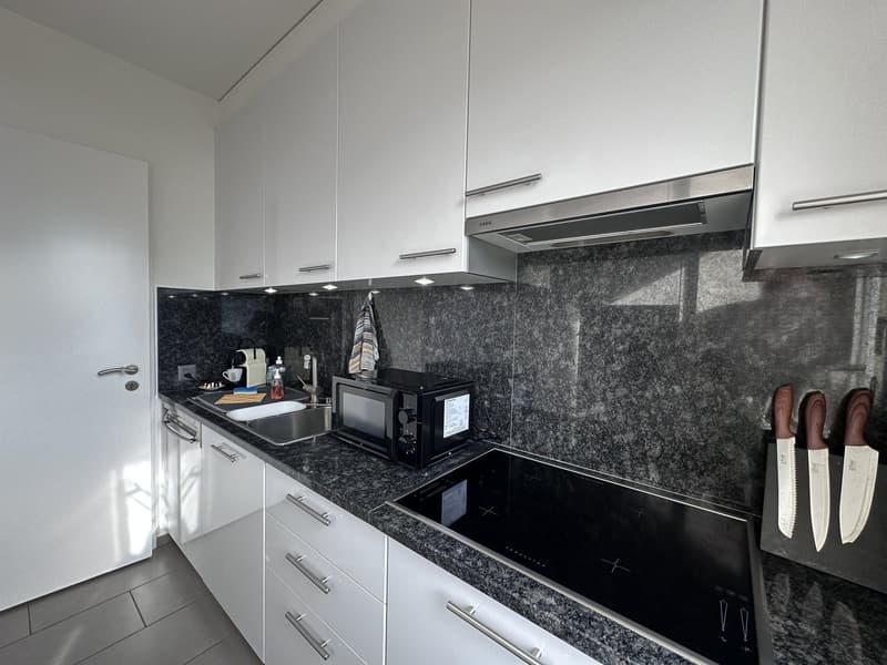 2 ½ locali ammobiliato con vista lago a Muralto (17)