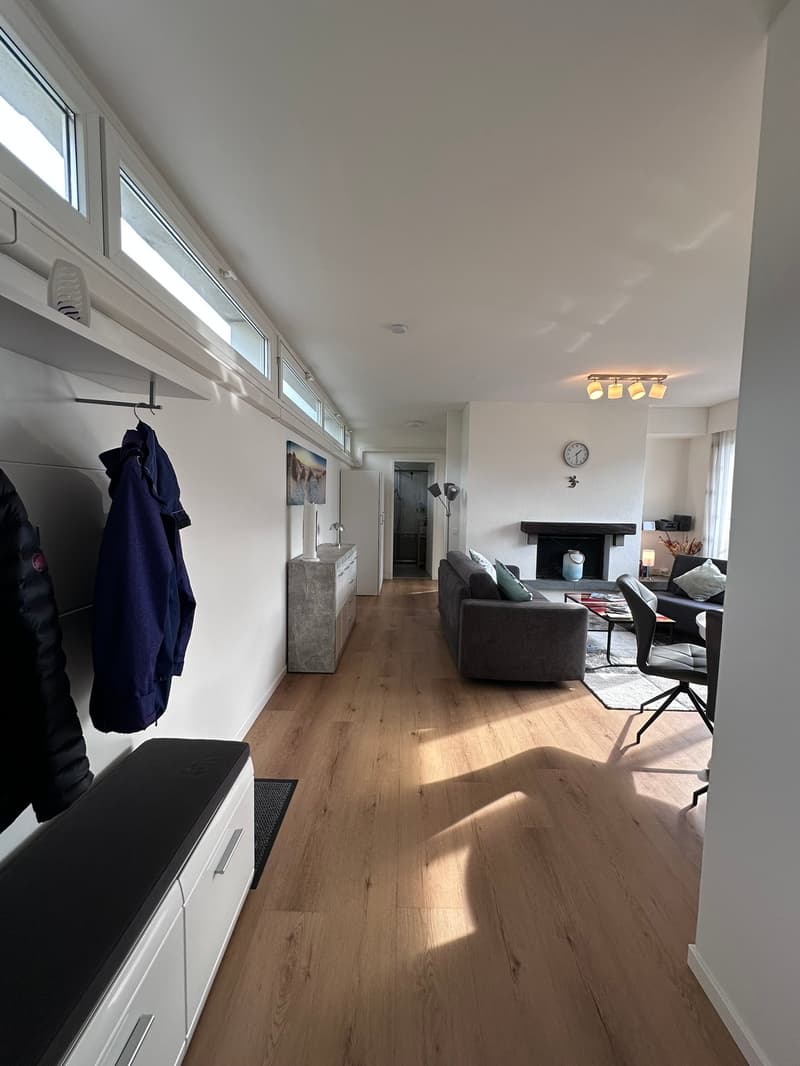2 ½ locali ammobiliato con vista lago a Muralto (2)