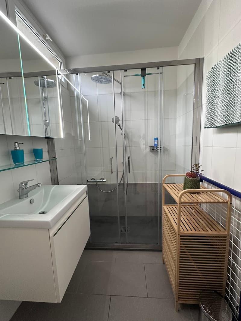 2 ½ locali ammobiliato con vista lago a Muralto (18)