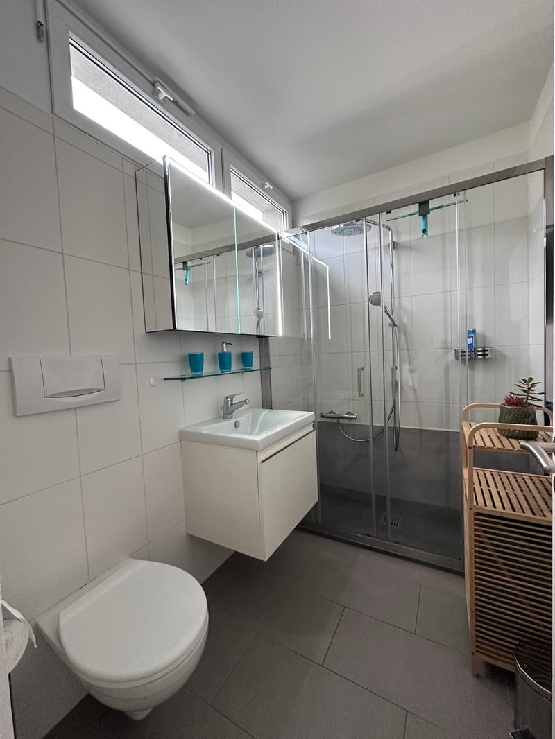 2 ½ locali ammobiliato con vista lago a Muralto (19)