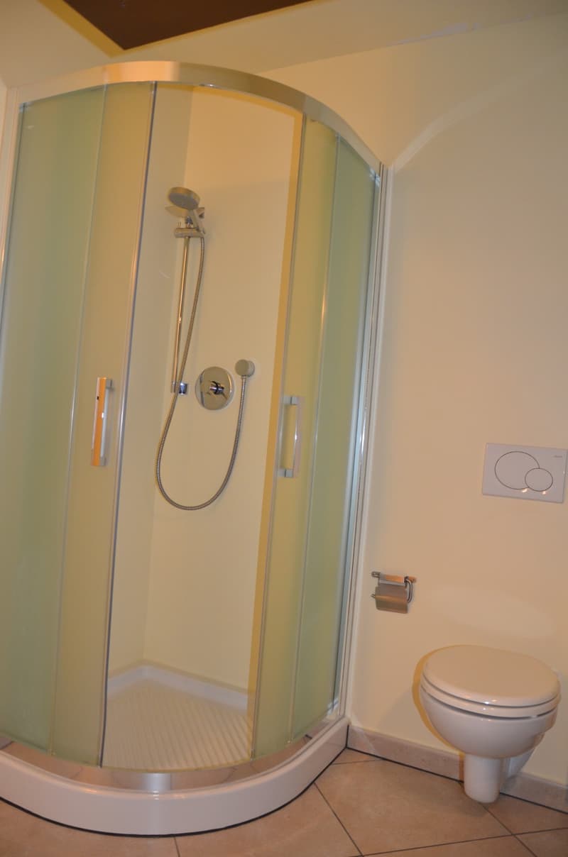 Appartamento 3.5 locali in affitto a Grono (9)