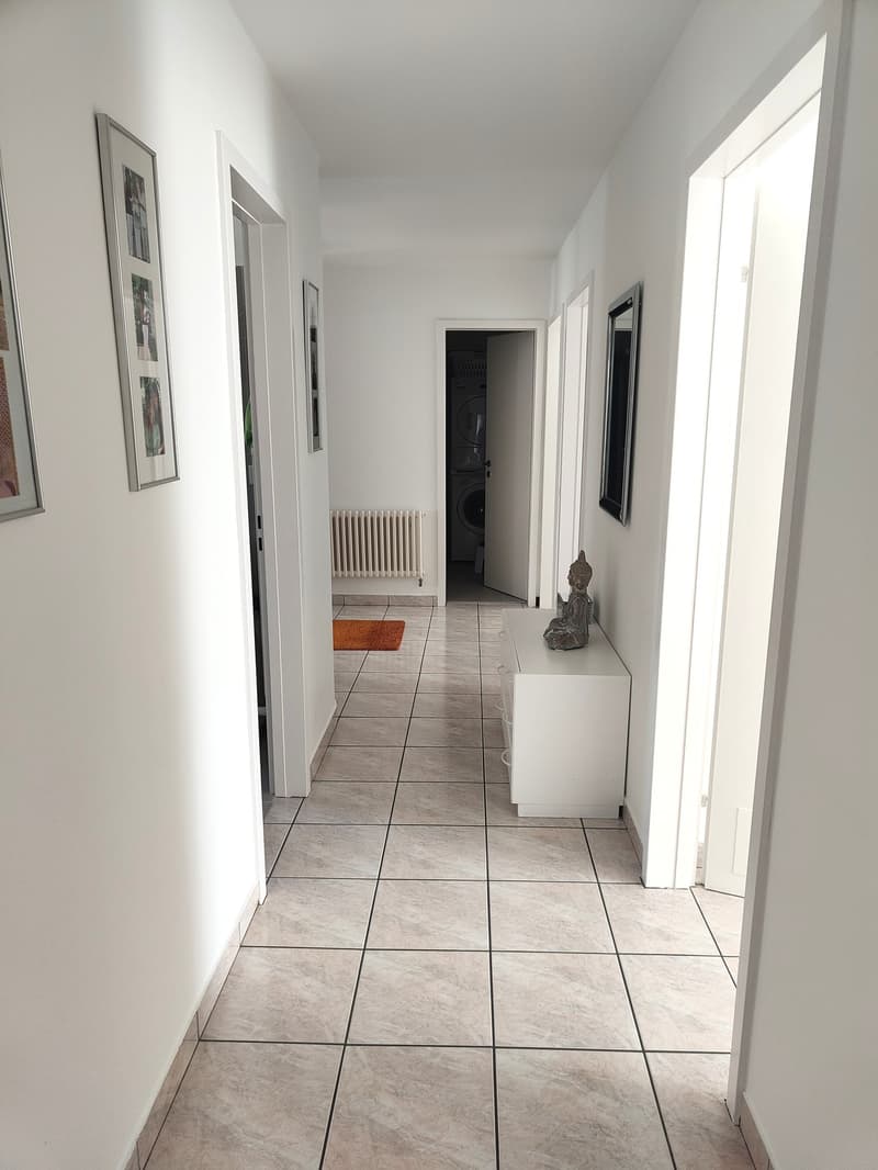 4.5 Locali - ultimo piano - Giubiasco (4)