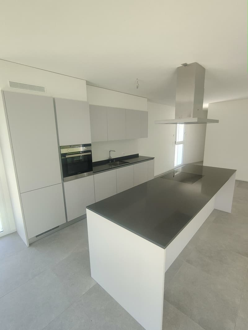 Modern, minimalist kitchen with white cabinets, black countertops, built-in appliances including a dishwasher, and a large kitchen island.