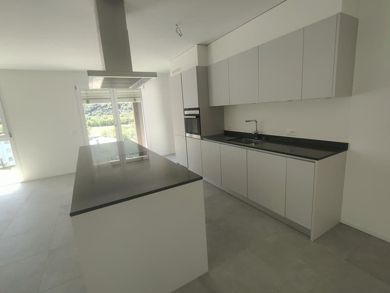 Modern, minimalist kitchen with white cabinets, black countertops, and stainless steel appliances including a dishwasher. Large windows provide natural light and a view of the surrounding landscape.