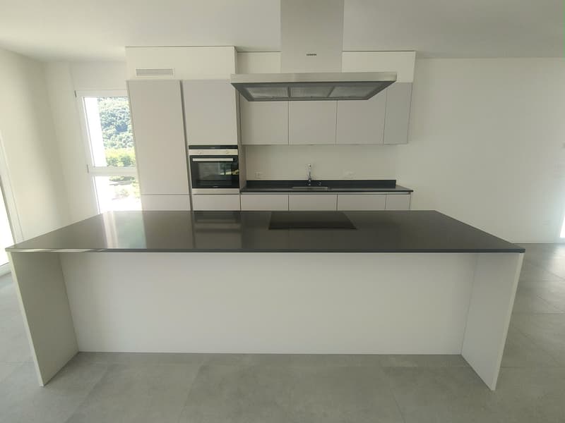 Modern, minimalist kitchen with white cabinets, black countertops, built-in appliances including a dishwasher, and large windows providing natural light.