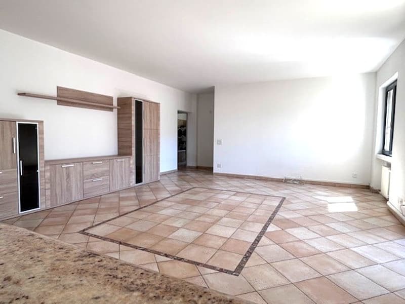 Grande 4 ½ locali a Giubiasco in zona residenziale (3)