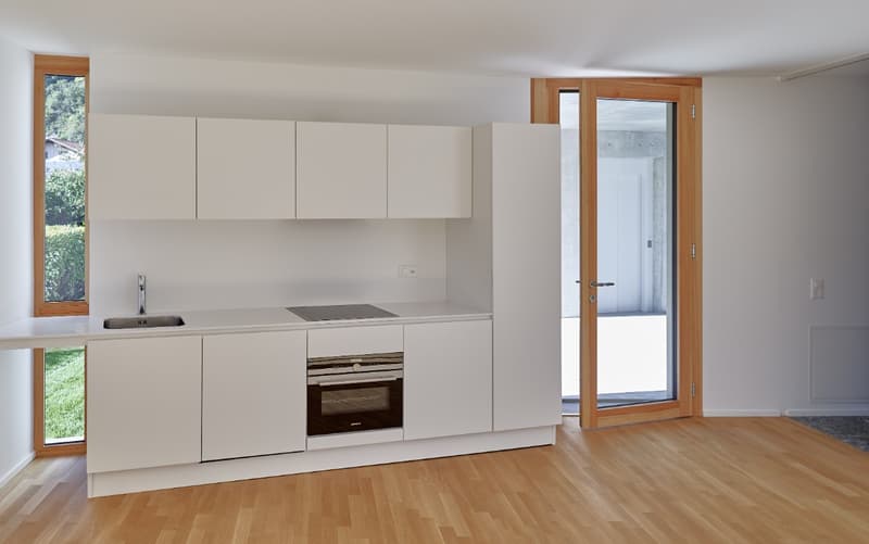modern kitchen with white cabinets, wooden floor, stainless steel sink, built-in oven, induction cooktop, glass door leading to outdoor area