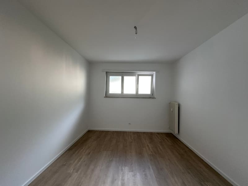 3.5 locali completamente rimodernato a Tenero (8)