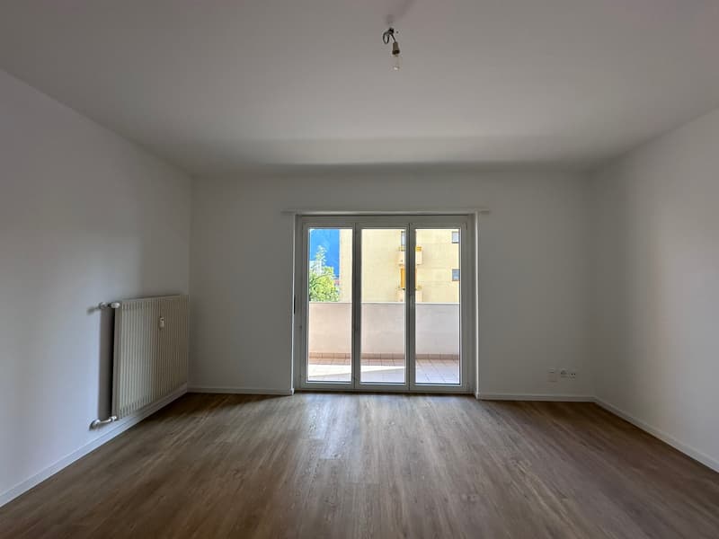 3.5 locali completamente rimodernato a Tenero (9)