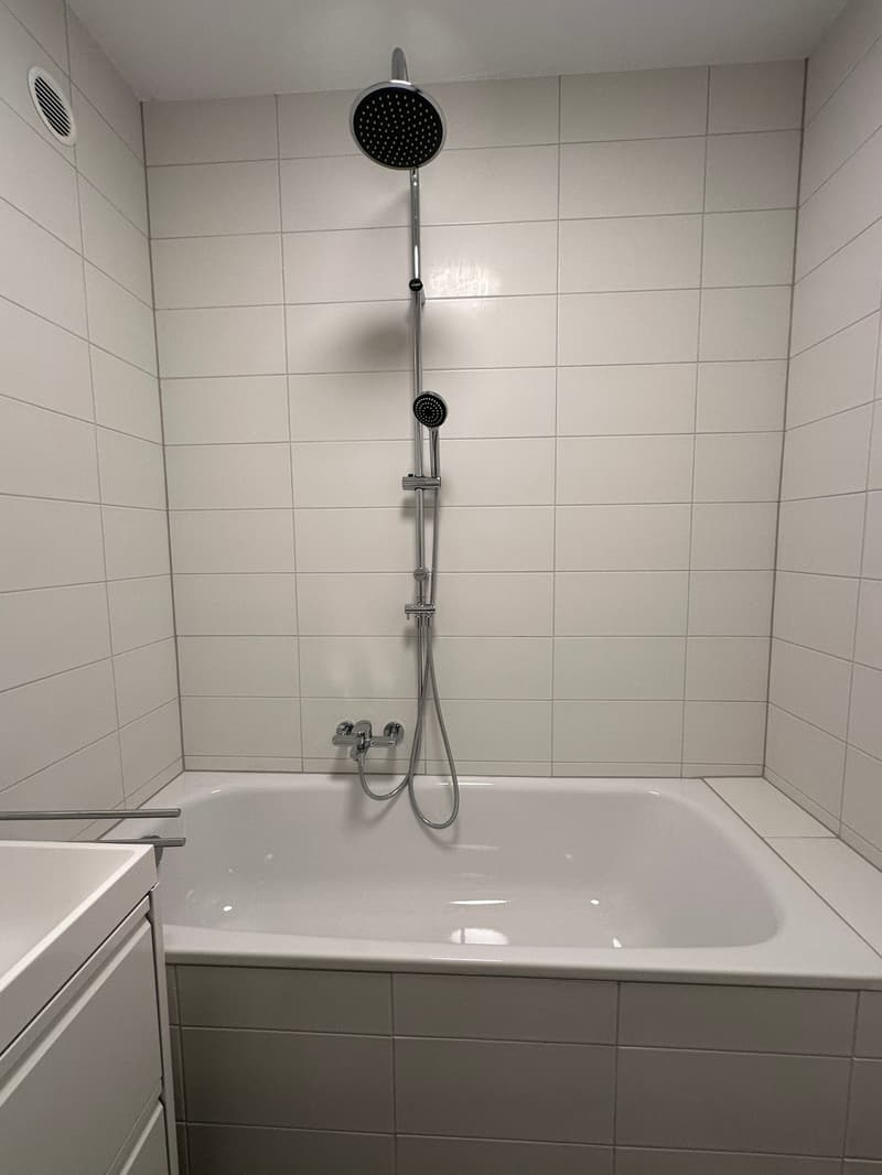 3.5 locali completamente rimodernato a Tenero (12)
