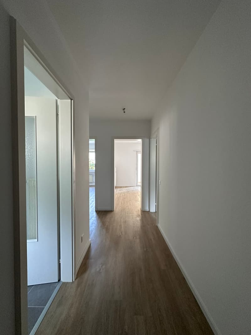 3.5 locali completamente rimodernato a Tenero (5)