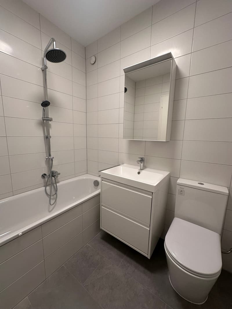 3.5 locali completamente rimodernato a Tenero (11)