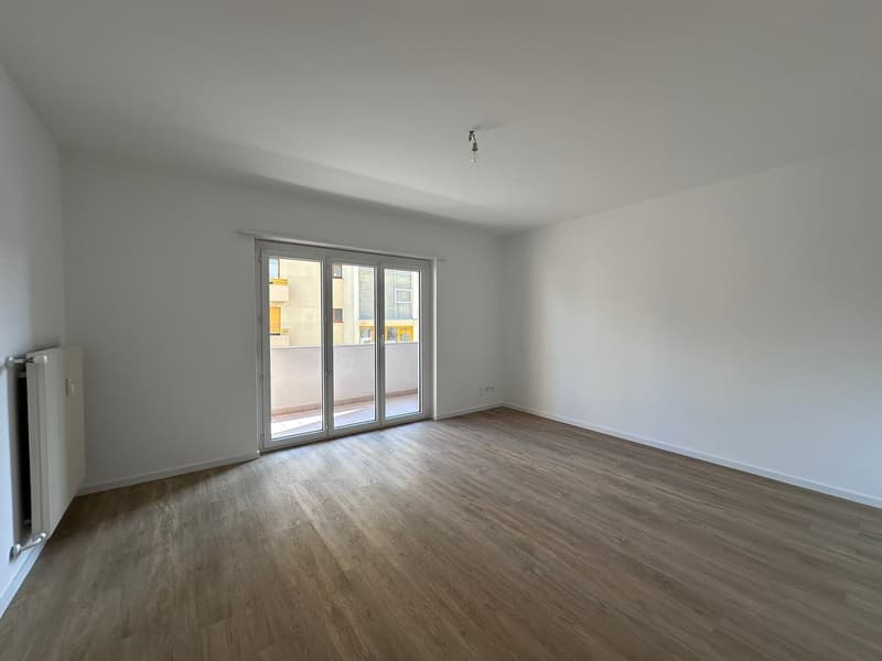 3.5 locali completamente rimodernato a Tenero (10)