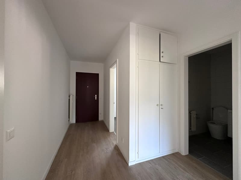 3.5 locali completamente rimodernato a Tenero (4)