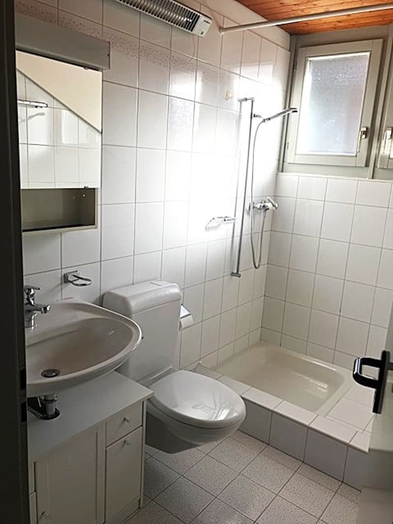 Studio-Apartment im Dachgeschoss in Bellinzona (7)