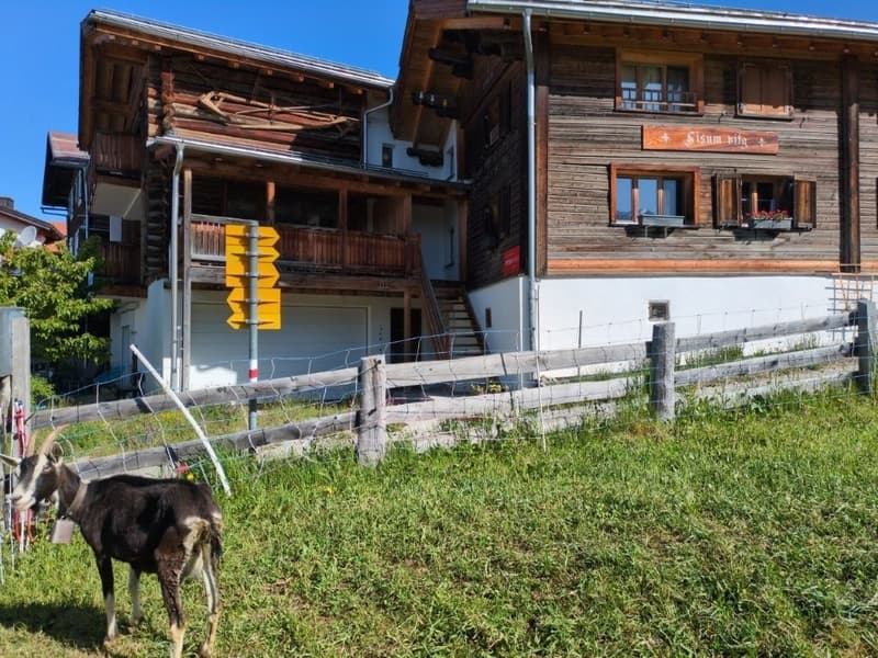 Dachwohnung in idyllischem Feriendorf Feldis/Veulden (1)