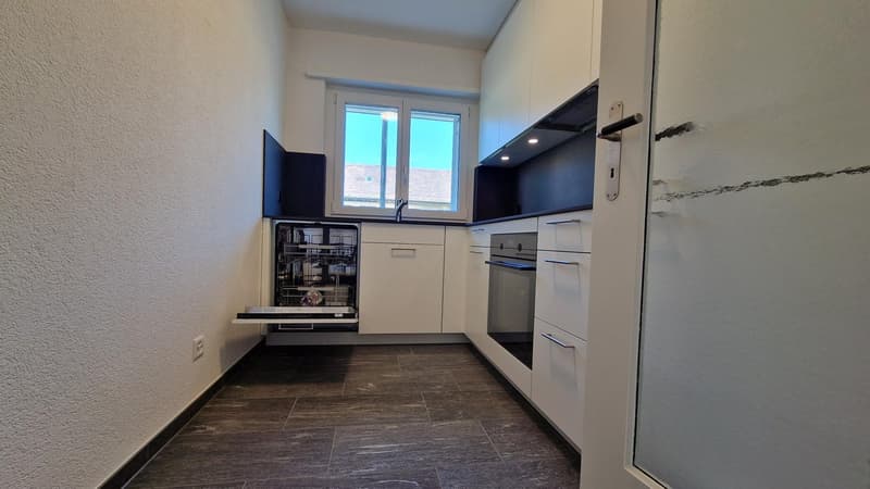 2 komplett renovierte 3-Zimmer-Wohnungen mit Gartensitzplatz an sehr ruhiger Lage (6)