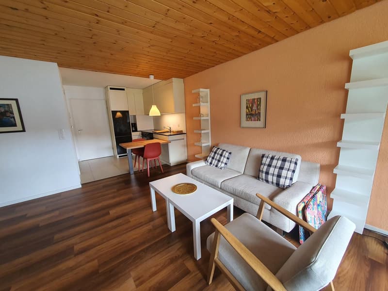 Möbliertes Studio in Parpan zu vermieten (2)