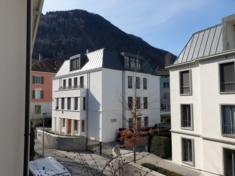 Sonnige 3-Zimmerwohnung an bester Lage zu vermieten (Erstvermietung nach Renovation) (7)