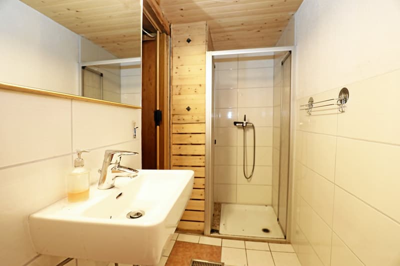 Bathroom with a sink, shower, and wooden paneled walls