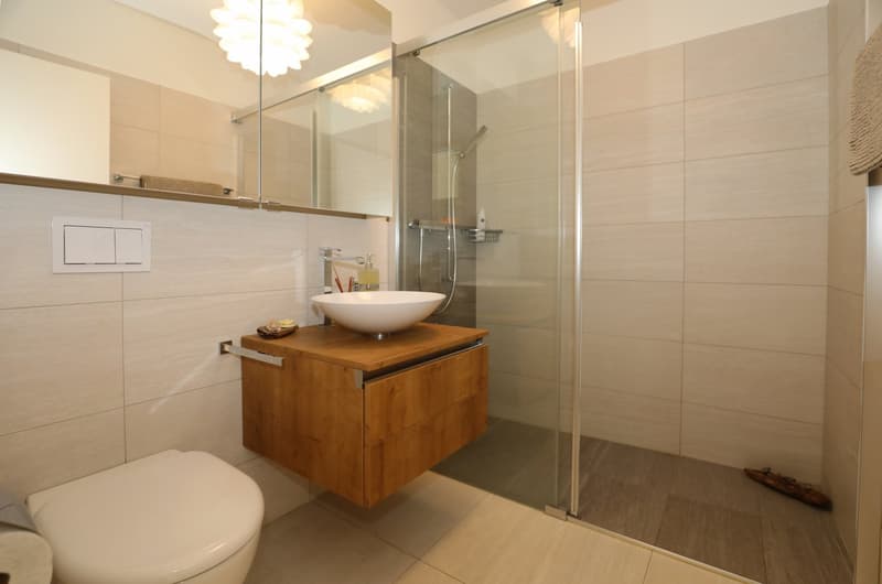 Appartement 2 pièces moderne, ensoleillé avec une belle vue (12)
