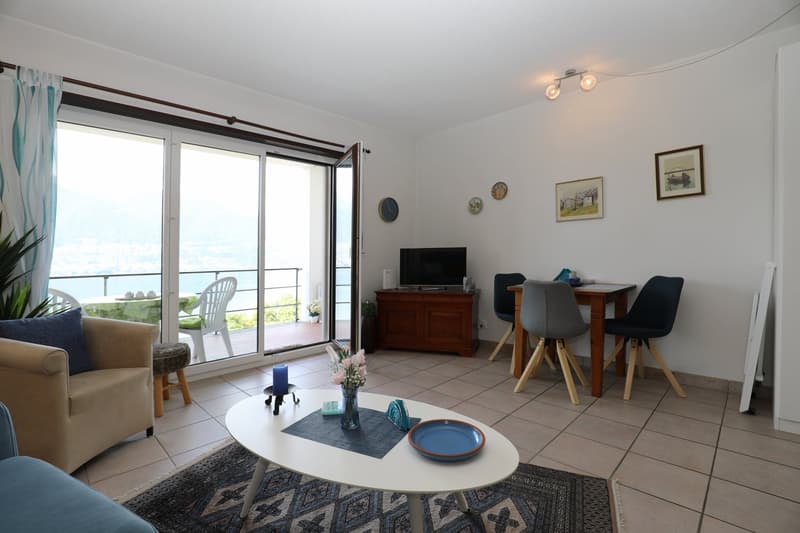 large windows, balcony, table, chairs, sofa, rug, coffee table, TV, flower vase, plates, cushions